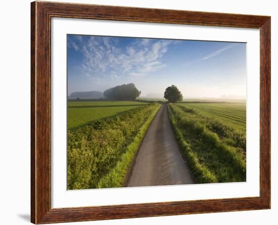 Country road between agricultural fields in England-Peter Adams-Framed Photographic Print