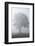 Country Road, Broad-Leaved Tree, Fog, Morning-Chris Seba-Framed Photographic Print