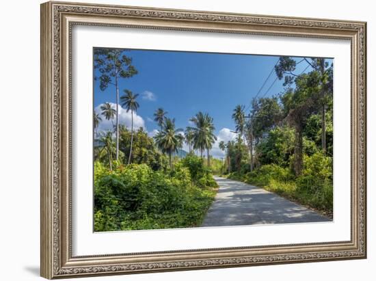 Country Road by Luxuriant Vegetation on Ko Samui, Thailand, Asia-P. Widmann-Framed Photographic Print