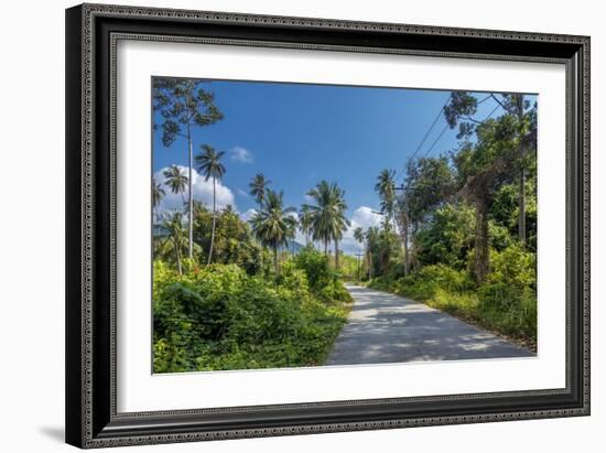 Country Road by Luxuriant Vegetation on Ko Samui, Thailand, Asia-P. Widmann-Framed Photographic Print