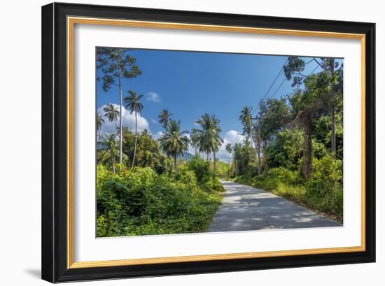 Country Road by Luxuriant Vegetation on Ko Samui, Thailand, Asia-P. Widmann-Framed Photographic Print