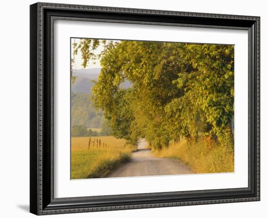 Country Road, Great Smoky Mountains National Park, Cades Cove, Tennessee, USA-Adam Jones-Framed Photographic Print