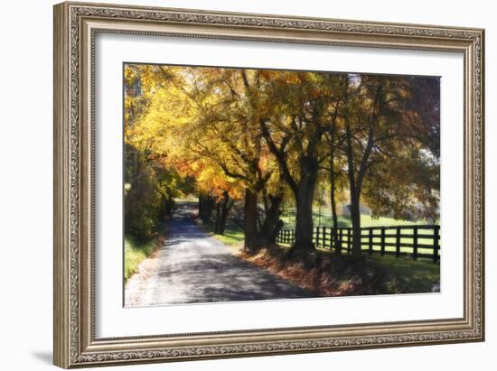 Country Road I-Alan Hausenflock-Framed Photographic Print