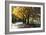 Country Road I-Alan Hausenflock-Framed Photographic Print