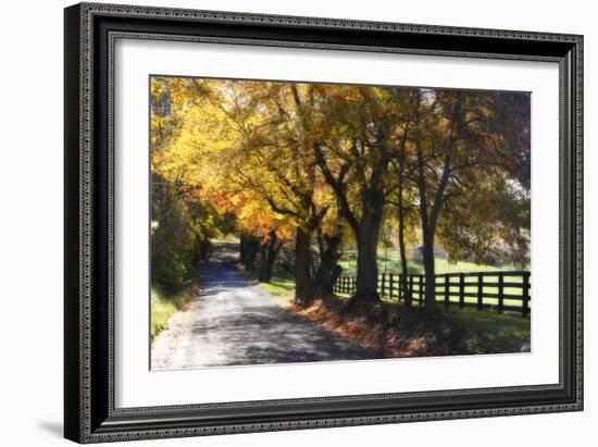 Country Road I-Alan Hausenflock-Framed Photographic Print