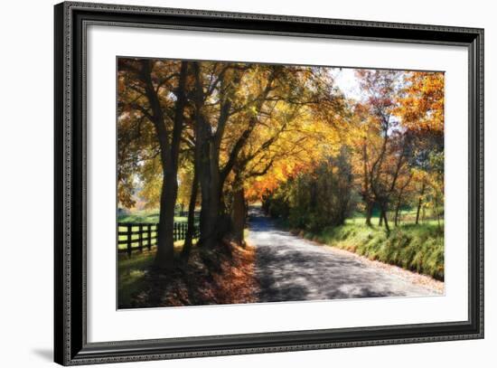 Country Road II-Alan Hausenflock-Framed Photographic Print