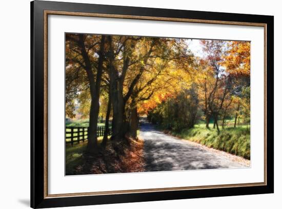 Country Road II-Alan Hausenflock-Framed Photographic Print