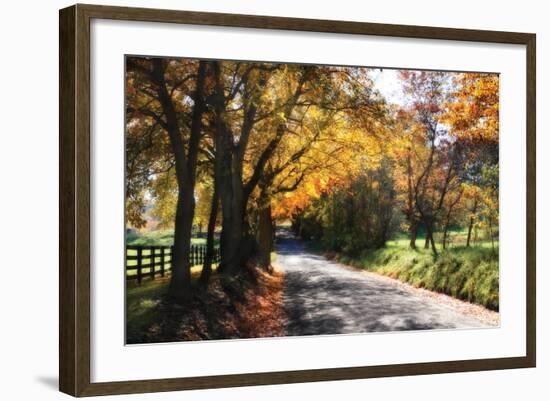 Country Road II-Alan Hausenflock-Framed Photographic Print