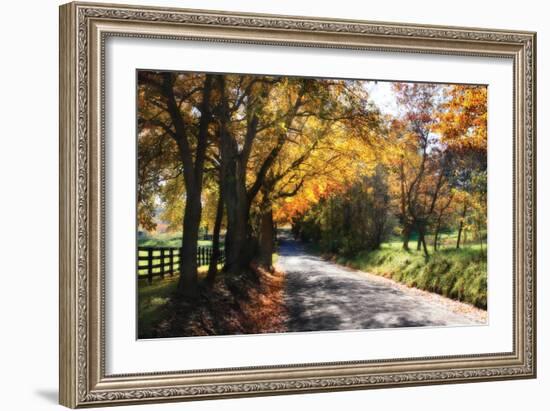 Country Road II-Alan Hausenflock-Framed Photographic Print