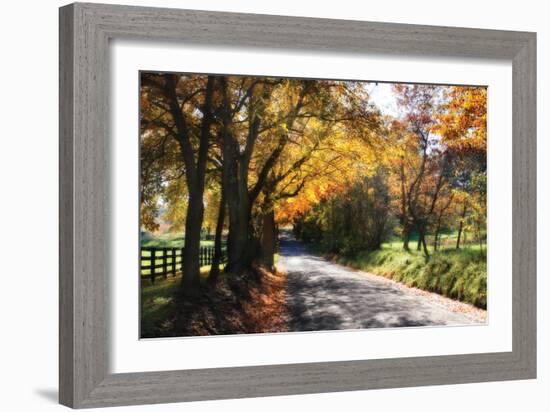 Country Road II-Alan Hausenflock-Framed Photographic Print