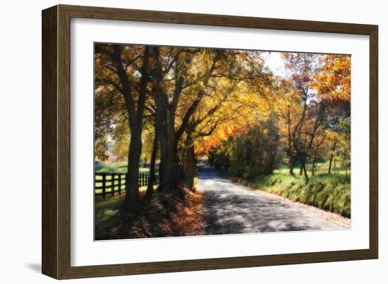 Country Road II-Alan Hausenflock-Framed Photographic Print