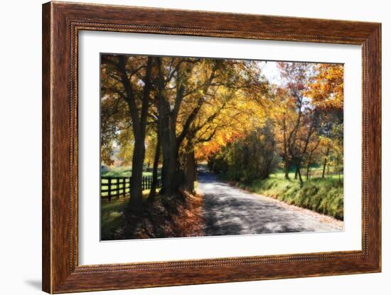 Country Road II-Alan Hausenflock-Framed Photographic Print