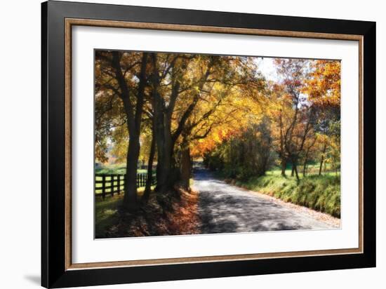 Country Road II-Alan Hausenflock-Framed Photographic Print