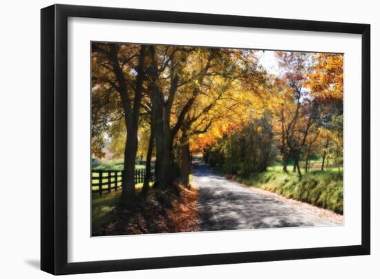 Country Road II-Alan Hausenflock-Framed Photographic Print