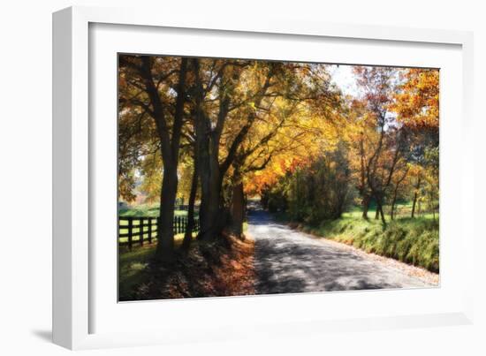 Country Road II-Alan Hausenflock-Framed Photographic Print