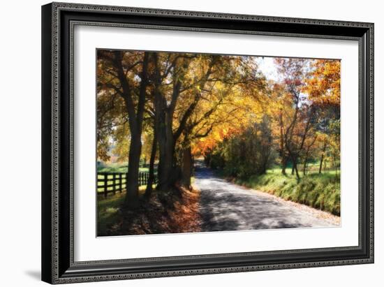 Country Road II-Alan Hausenflock-Framed Photographic Print