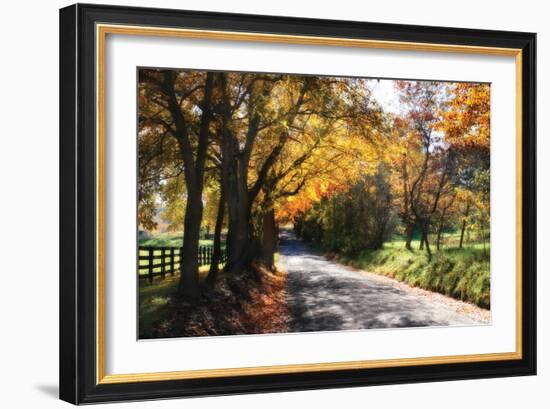 Country Road II-Alan Hausenflock-Framed Photographic Print