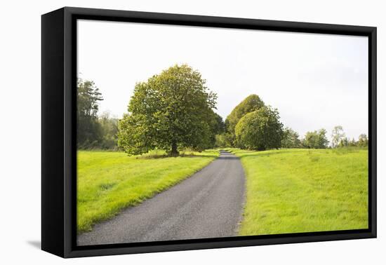 Country Road II-Karyn Millet-Framed Premier Image Canvas