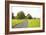 Country Road II-Karyn Millet-Framed Photographic Print