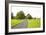 Country Road II-Karyn Millet-Framed Photographic Print