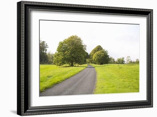 Country Road II-Karyn Millet-Framed Photographic Print