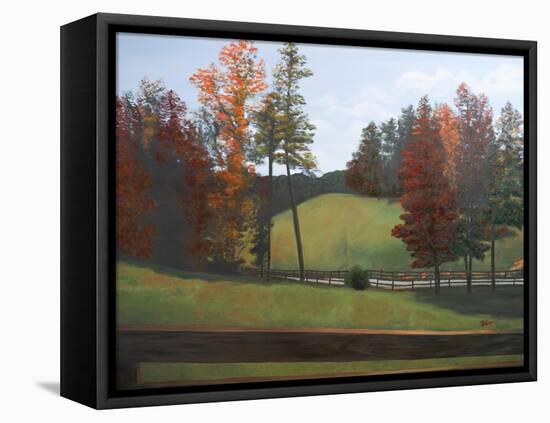 Country Road II-Tiffany Hakimipour-Framed Stretched Canvas