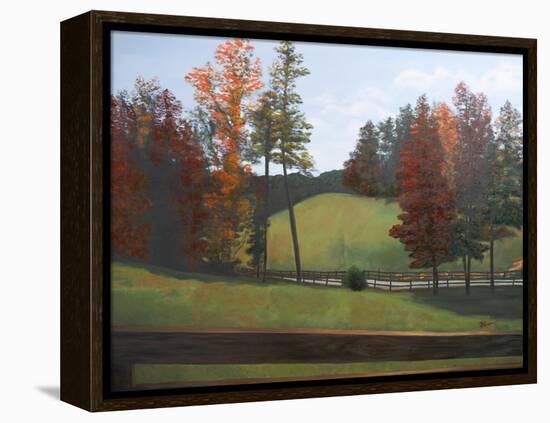 Country Road II-Tiffany Hakimipour-Framed Stretched Canvas