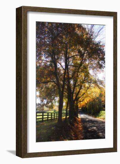 Country Road III-Alan Hausenflock-Framed Photographic Print