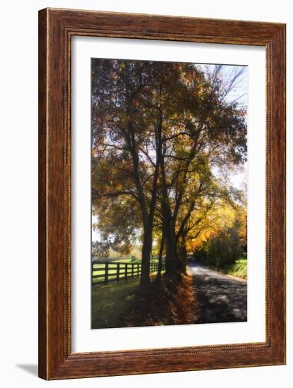 Country Road III-Alan Hausenflock-Framed Photographic Print