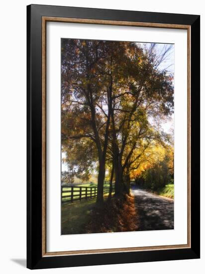 Country Road III-Alan Hausenflock-Framed Photographic Print