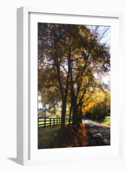 Country Road III-Alan Hausenflock-Framed Photographic Print