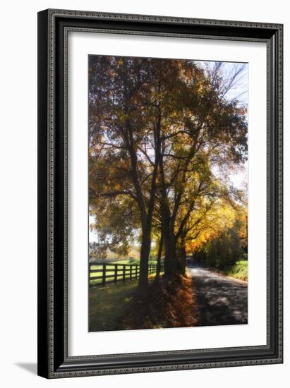 Country Road III-Alan Hausenflock-Framed Photographic Print