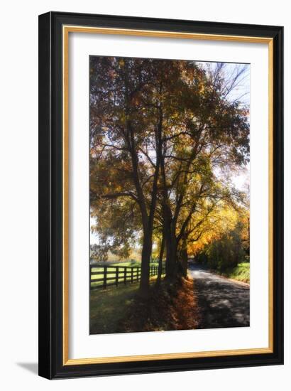 Country Road III-Alan Hausenflock-Framed Photographic Print