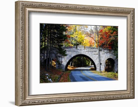 Country Road in Acadia, Maine-George Oze-Framed Photographic Print