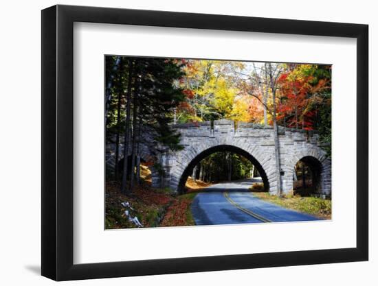 Country Road in Acadia, Maine-George Oze-Framed Photographic Print