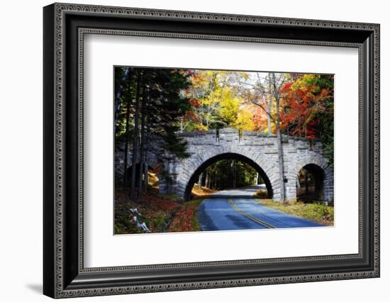 Country Road in Acadia, Maine-George Oze-Framed Photographic Print