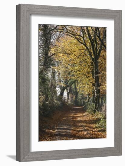 Country Road in Autumn, Hanson, Kornelimunster, Nordrhein-Westfalen, Germany-Florian Monheim-Framed Photographic Print