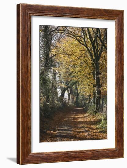 Country Road in Autumn, Hanson, Kornelimunster, Nordrhein-Westfalen, Germany-Florian Monheim-Framed Photographic Print