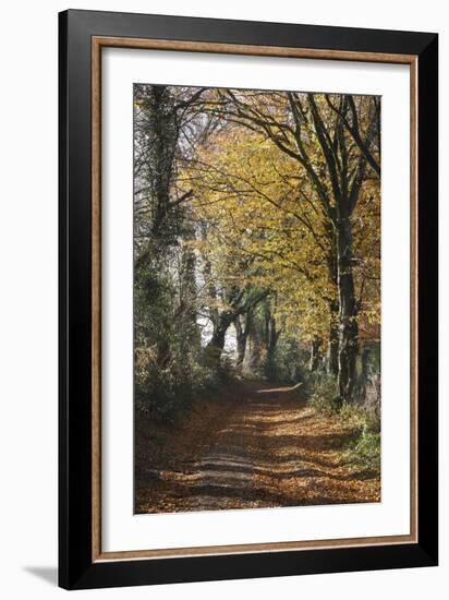 Country Road in Autumn, Hanson, Kornelimunster, Nordrhein-Westfalen, Germany-Florian Monheim-Framed Photographic Print