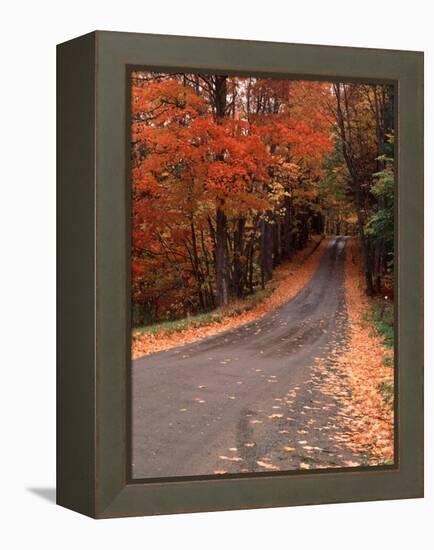 Country Road in Autumn, Vermont, USA-Charles Sleicher-Framed Premier Image Canvas