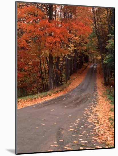 Country Road in Autumn, Vermont, USA-Charles Sleicher-Mounted Photographic Print