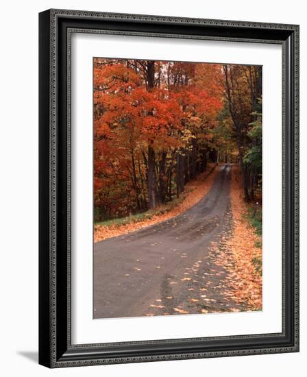 Country Road in Autumn, Vermont, USA-Charles Sleicher-Framed Photographic Print