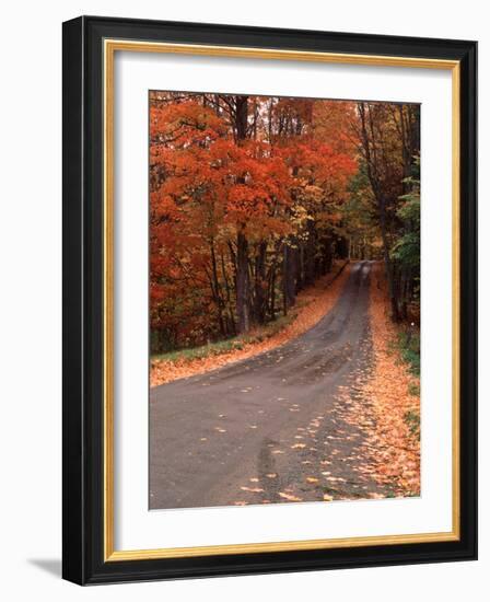 Country Road in Autumn, Vermont, USA-Charles Sleicher-Framed Photographic Print