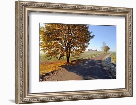 Country Road in Autumn-Harald Lange-Framed Photographic Print