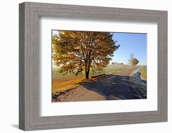 Country Road in Autumn-Harald Lange-Framed Photographic Print