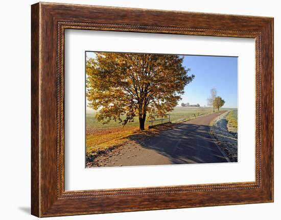 Country Road in Autumn-Harald Lange-Framed Photographic Print