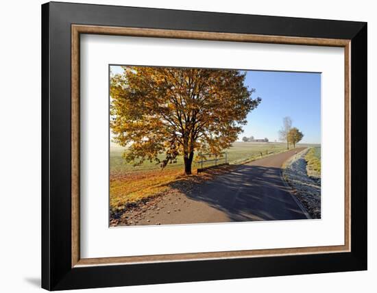 Country Road in Autumn-Harald Lange-Framed Photographic Print