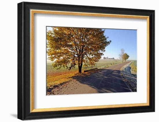 Country Road in Autumn-Harald Lange-Framed Photographic Print