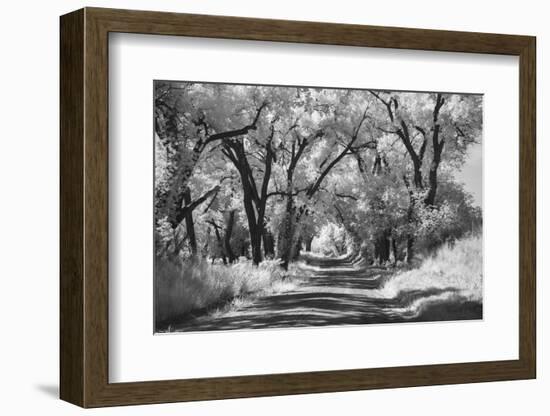 Country Road in Kansas, infrared photo-Michael Scheufler-Framed Photographic Print