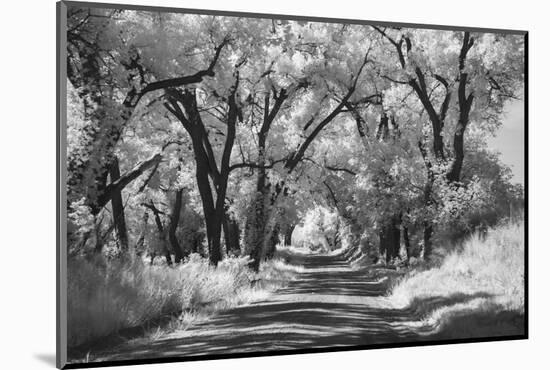 Country Road in Kansas, infrared photo-Michael Scheufler-Mounted Photographic Print